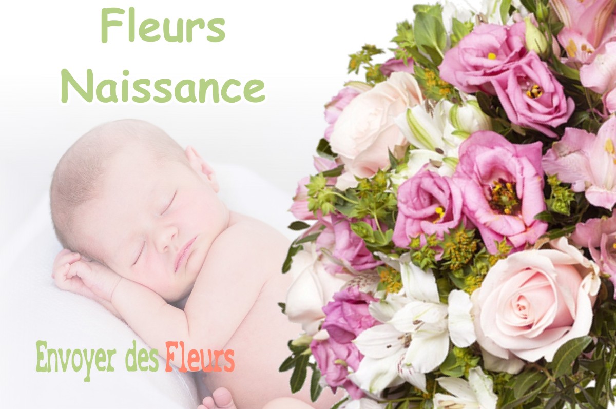 lIVRAISON FLEURS NAISSANCE à JAMETZ